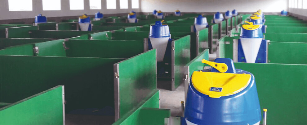 Efficient housing solutions for fattening