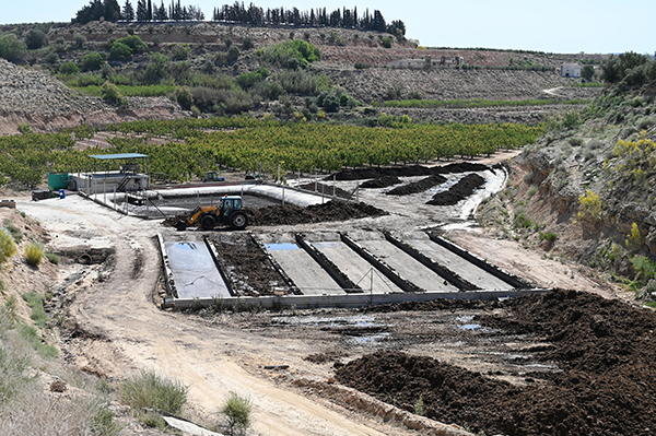 valor fertilizante purin porcino