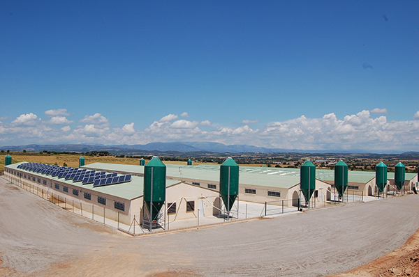 bioseguridad en granjas porcinas