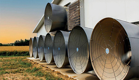 ventilación forzada en granjas porcinas